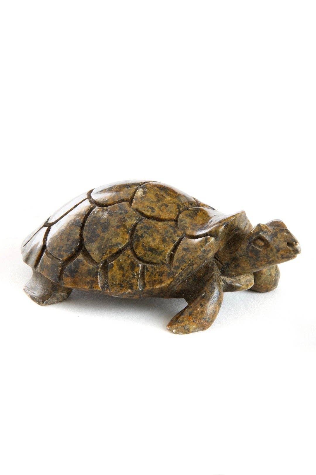 Stone Box Turtle Sculpture from Zimbabwe